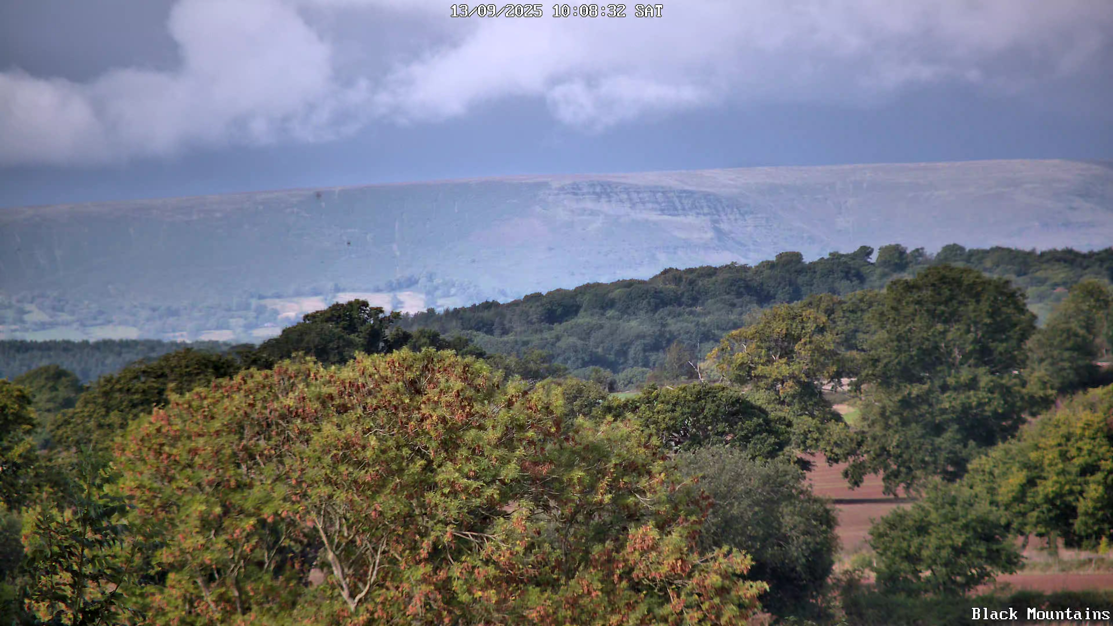 Black-09132025-081700pe-0